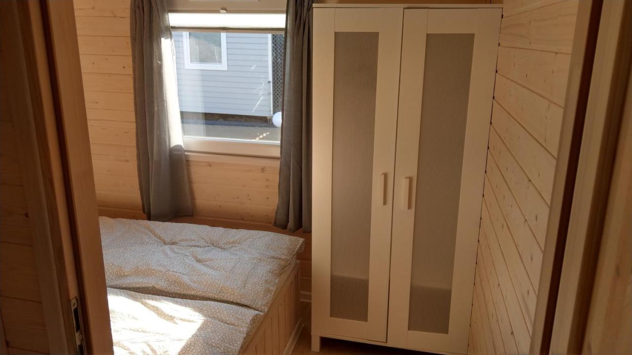 Kamien Baltyku * Debina (Ustka)