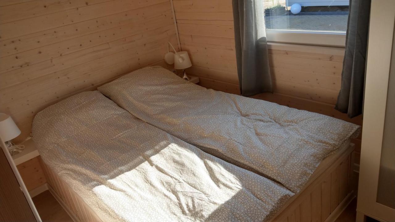 Kamien Baltyku