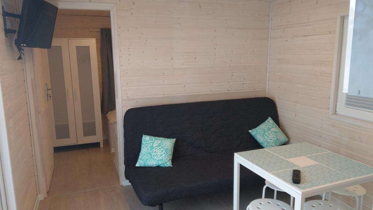 Kamien Baltyku Debina (Ustka)